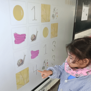 Escola concertada Lleida - Mirasan 6